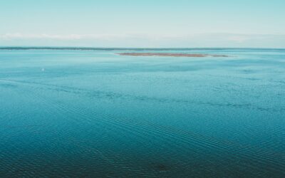 Les réserves naturelles autour du Bassin d’Arcachon
